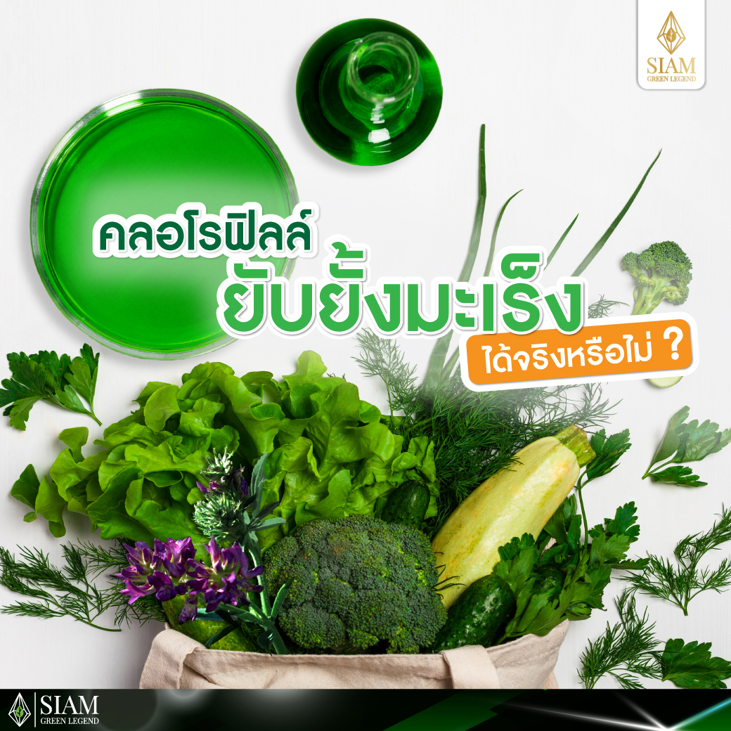 คลอโรฟิลล์ ยับยั้งมะเร็งได้จริงหรือไม่?
