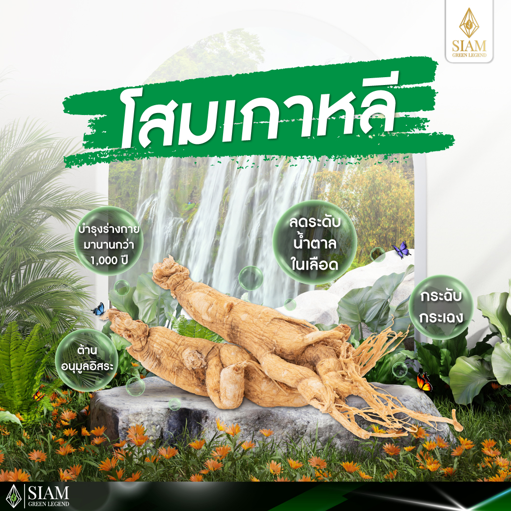 โสมเกาหลี